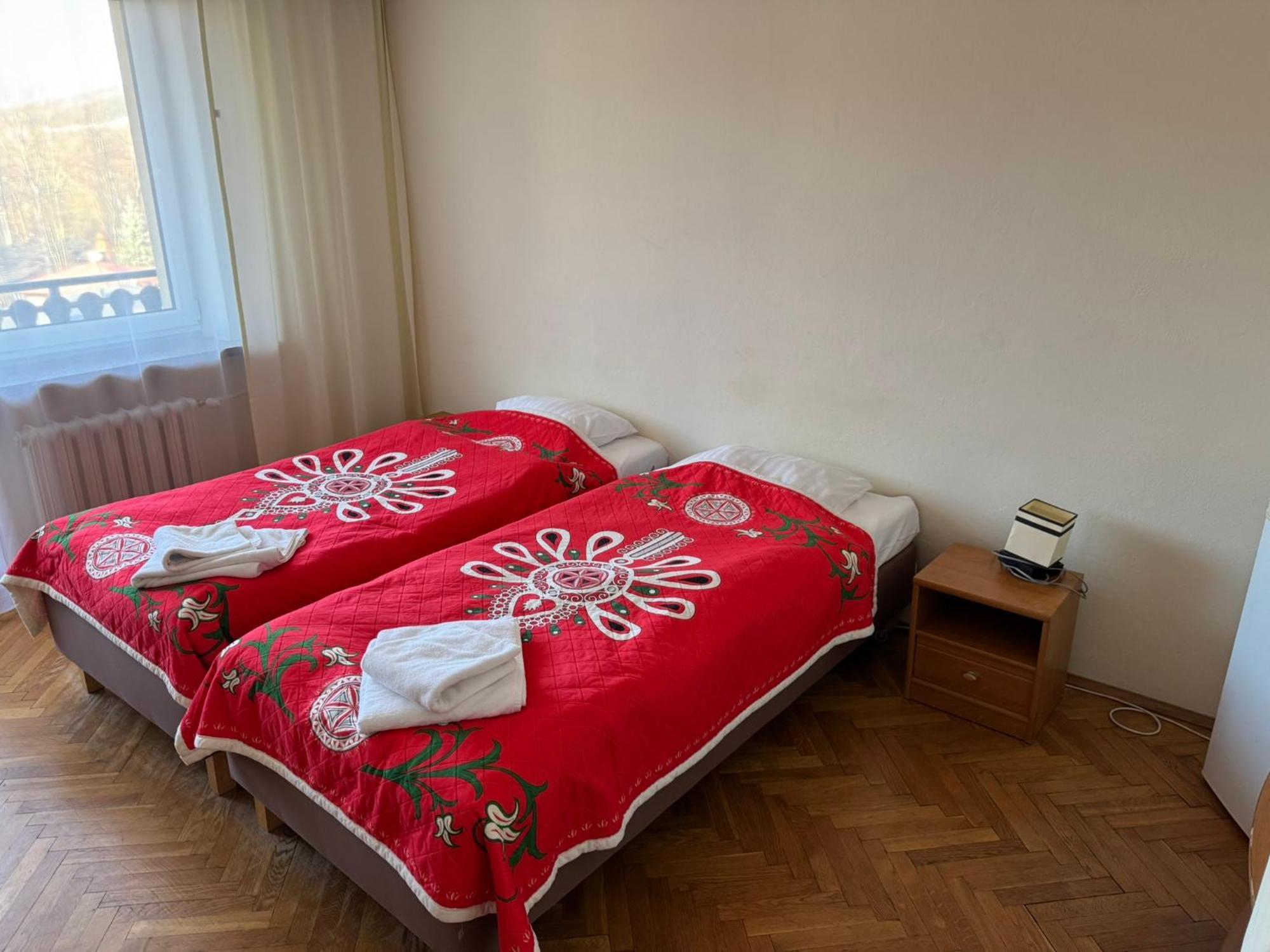 Dafne Zakopane Bed & Breakfast エクステリア 写真