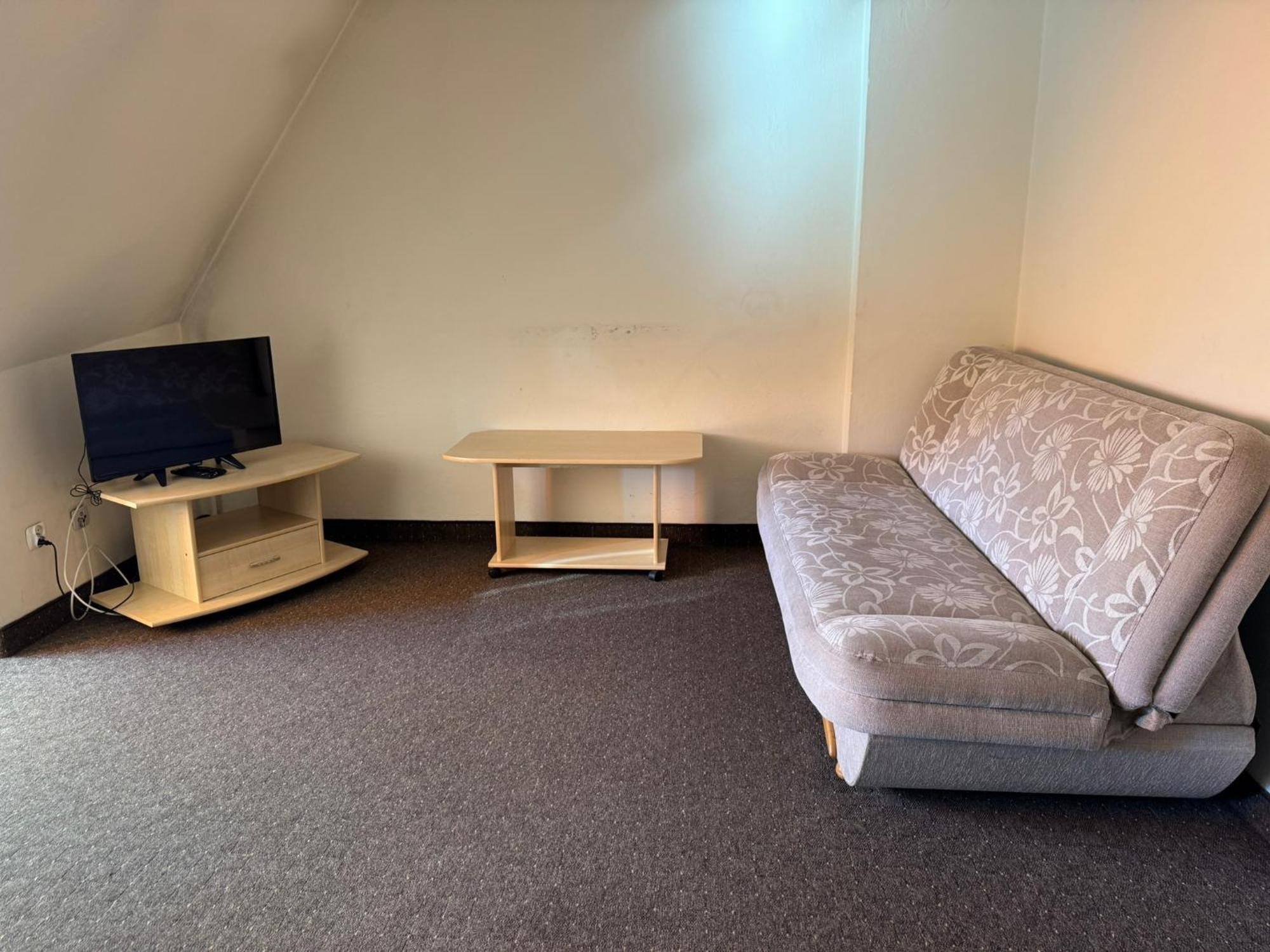Dafne Zakopane Bed & Breakfast エクステリア 写真