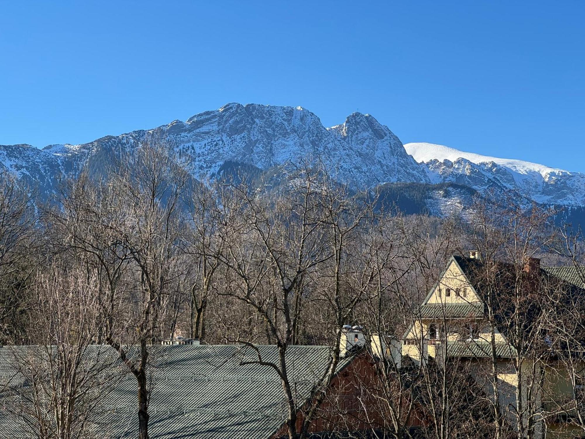 Dafne Zakopane Bed & Breakfast エクステリア 写真