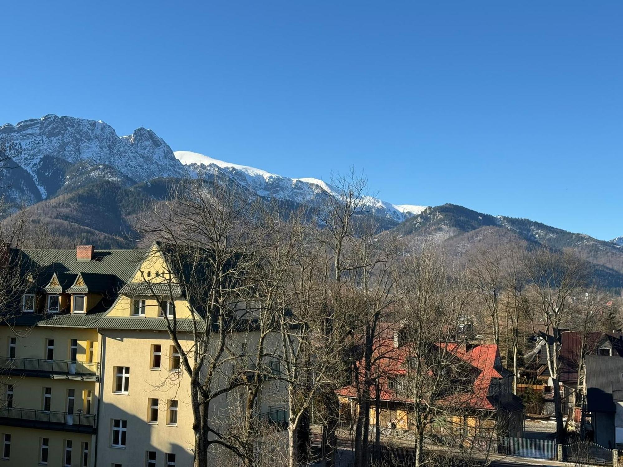 Dafne Zakopane Bed & Breakfast エクステリア 写真