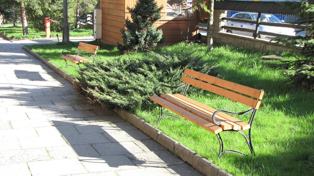 Dafne Zakopane Bed & Breakfast エクステリア 写真