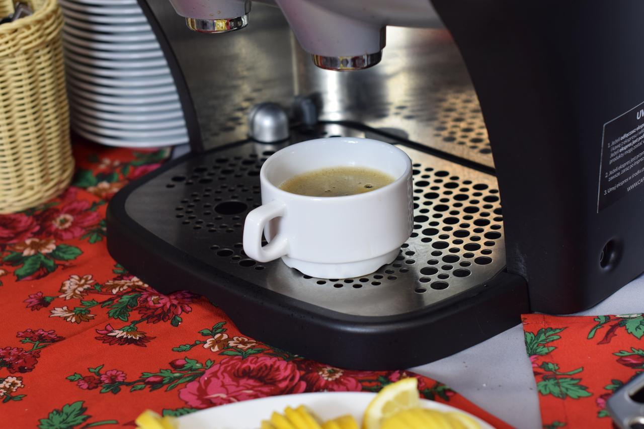 Dafne Zakopane Bed & Breakfast エクステリア 写真