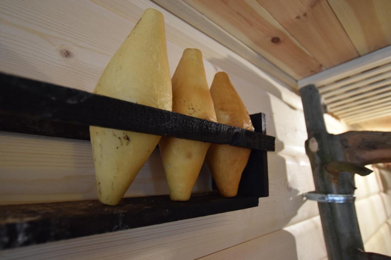 Dafne Zakopane Bed & Breakfast エクステリア 写真